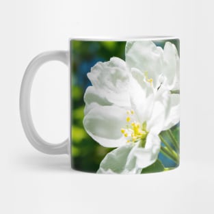 Crabapple blossoms Mug